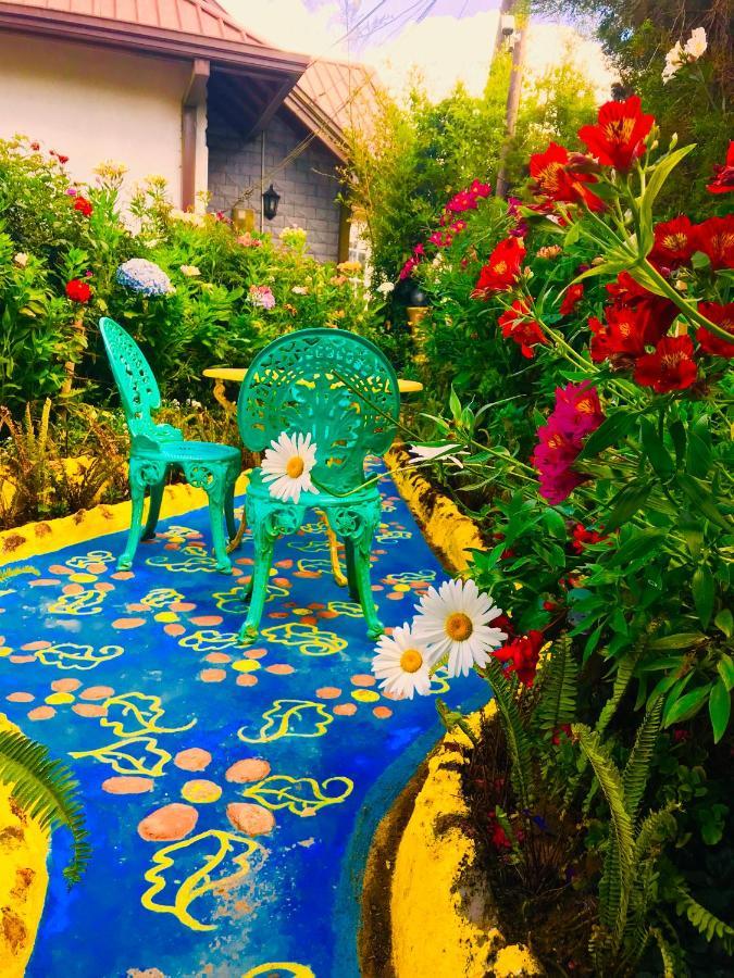 Serendipity Artistic By Heidis गेस्ट हाउस Nuwara Eliya
